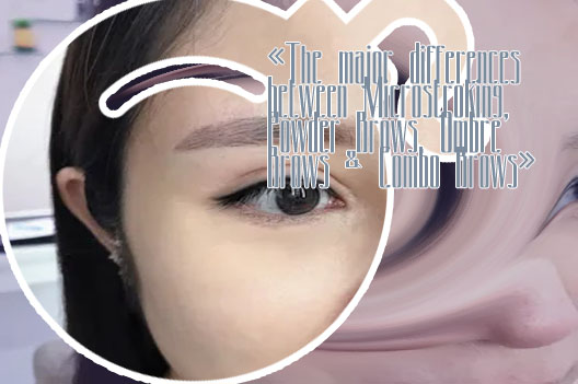 Combo eyebrows