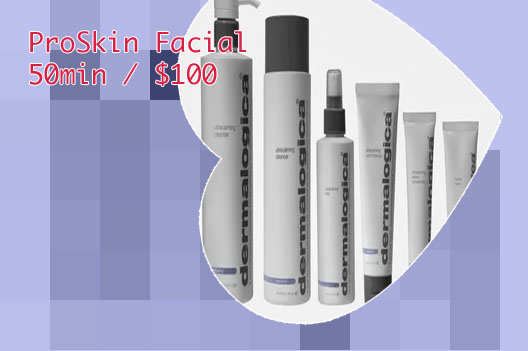 Dermalogica facial