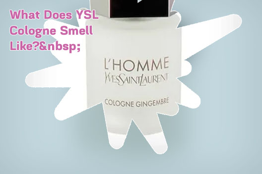 Ysl cologne